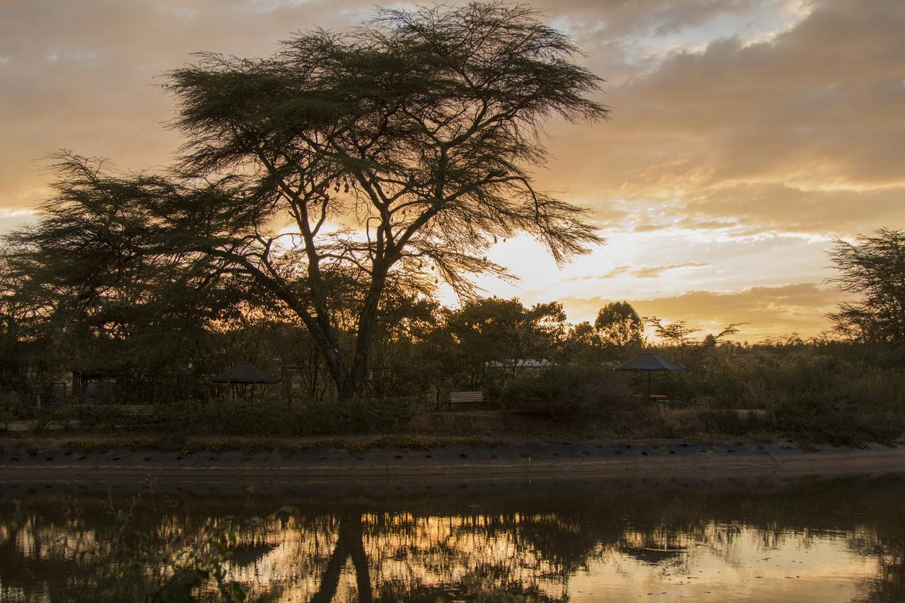 Ziwa Bush Lodge 나쿠루 외부 사진